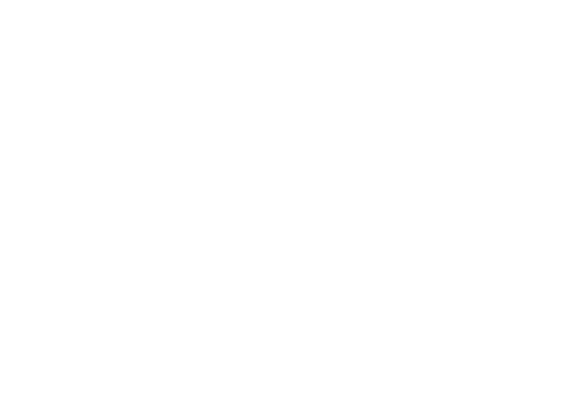 enghigh-logo-branco-politica